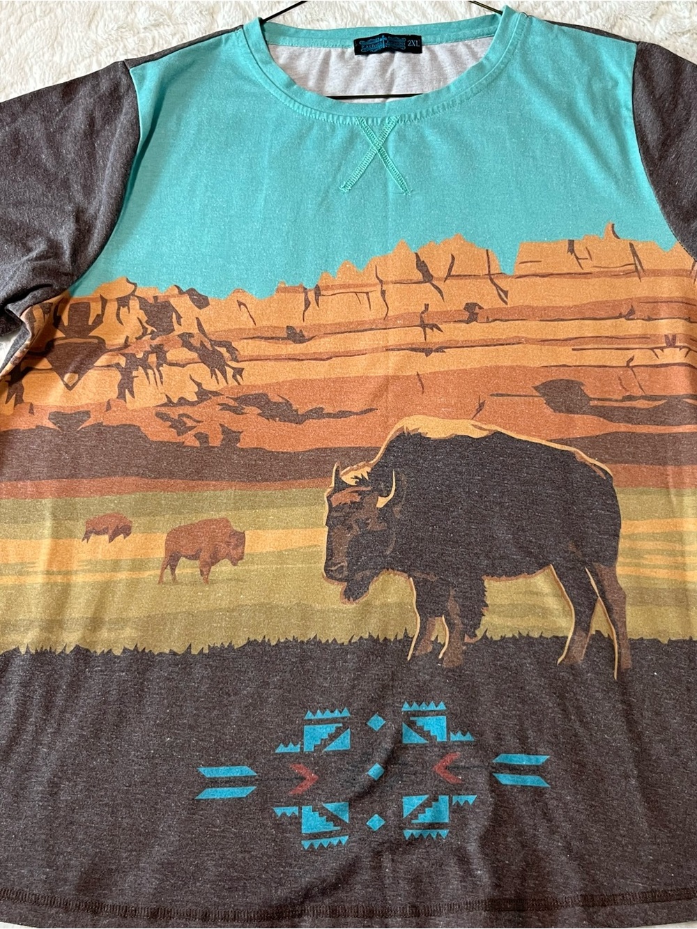 Fashion Express Graphic Buffalo Print Tee in Teal & Brown Size 2XL